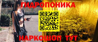 2c-b Краснознаменск