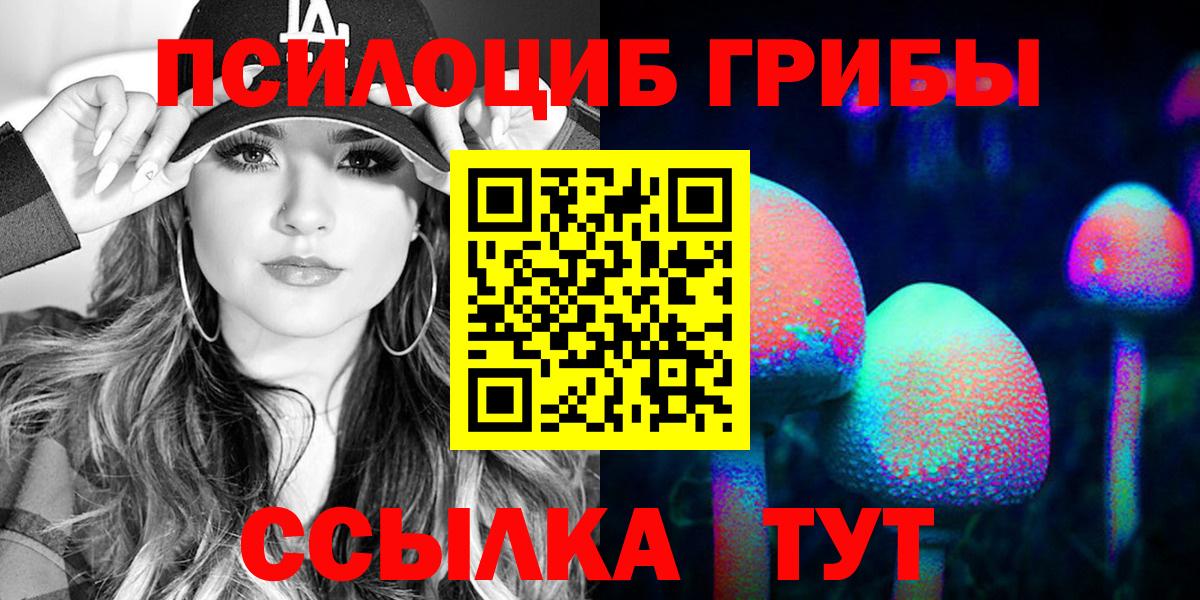 Псилоцибиновые грибы мухоморы  где продают   Псилоцибиновые грибы GOLDEN TEACHER  Качканар  Вход с VPN 