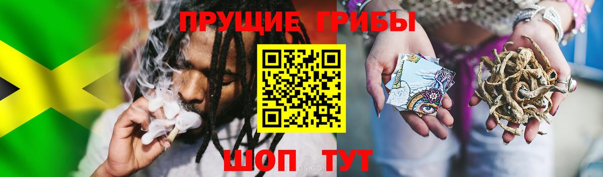 Псилоцибиновые грибы ЛСД Качканар